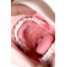 Мастурбатор нереалистичный рот, SUGOFELLA, ENJOY TOYS, телесный, 19 см
